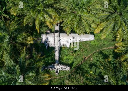 Arial View von Flugzeugwrack in Der Ölpalmenplantage, Kimbe, New britain, Papua-Neuguinea, PNG Stockfoto