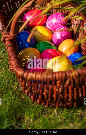 Nahaufnahme der Ostereier in verschiedenen Farben im Korbkorb auf Gras im Garten am sonnigen Aprilmorgen. Eierjagd deutsche Osterfeiertage Tradition Stockfoto