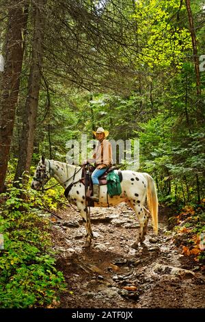 Reiten in Montana, USA Stockfoto