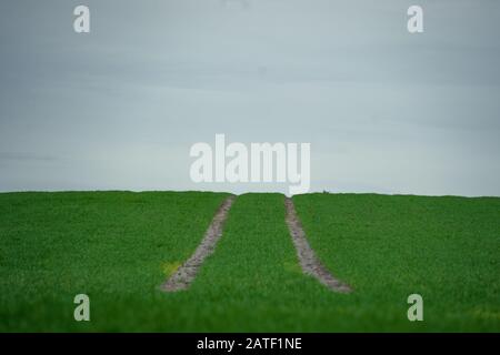 02. Februar 2020, Schleswig-Holstein, Lübeck: Zwei Furchen von einer landwirtschaftlichen Maschine sind auf einem Feld an der Lübecker Bucht zu sehen. Foto: Gregor Fischer / dpa Stockfoto