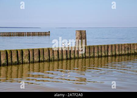 Groynes in der Ostsee mit kleinen Wellen im Badeort Zempin auf der Insel Usedom Stockfoto