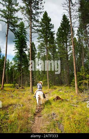 Eine junge Frau, die in Montana, USA, reitet Stockfoto