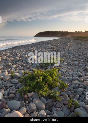 Lawrenzetown Beach, Halifax, Nova Scotia. Stockfoto