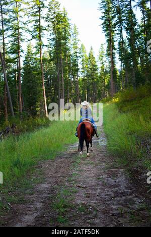 Eine junge Frau, die in Montana, USA, reitet Stockfoto