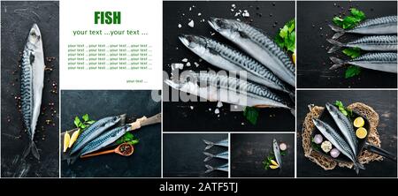 Fotocollage Fisch, Makrele und Gewürze. Auf schwarzem Hintergrund. Stockfoto