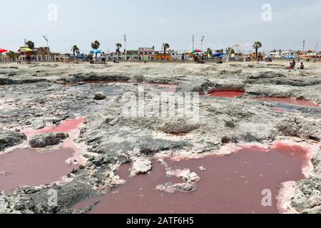 Chilca, Lima. 24. November 2019 - Die Szene, die den heilenden Schlamm zeigt, den die verzauberte Lagune im Chilca-Distrikt hat, hat medizinische Eigenschaften, wo m Stockfoto