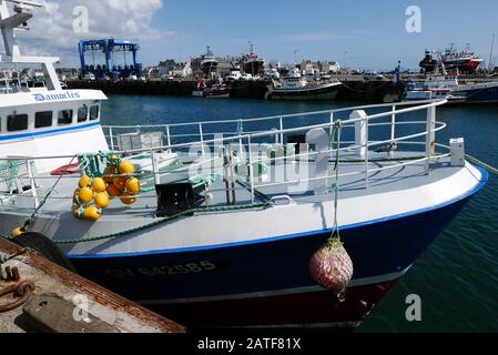 Damokles Trawler im Fischerhafen Le Guilvinec und Hafengebiet von Lehiagat, Finistere, Bretagne, Frankreich, Europa Stockfoto