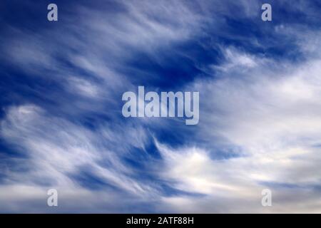 Schöne malerische, ungewöhnliche weiße Federwolken am blauen Himmel, magischer romantischer Hintergrund. ? Fantastische weiße Wolken. Landschaftshintergrund, Klima Stockfoto