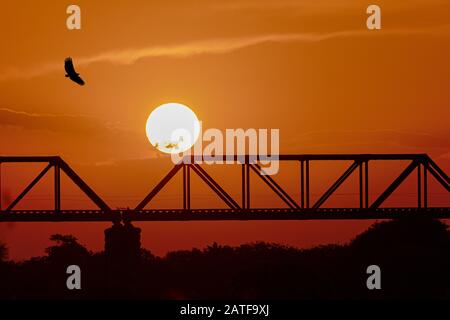 Die alte Eisenbahnbrücke am Skukuza Rastlager im Krüger Nationalpark bei Sonnenuntergang mit einem Geier, der kreist. Stockfoto