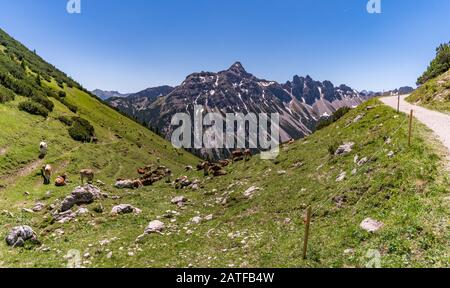 Fantastische Wanderung in den Tannheimer Bergen vom Gipfel des Neunerkopfle über die Landsberger Hütte zum schönen Vilsalpsee. Stockfoto