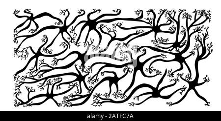 Neuronenzellen gesetzt. Sammlung von Gehirnsilhouettenzellen mit Axonen und Dendriten. Vektorillustrierung. Stock Vektor