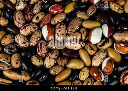 Verschiedene Bohnen auf dem Tisch verstreut. Natürliche Produkte auf dunklem Hintergrund. Stockfoto