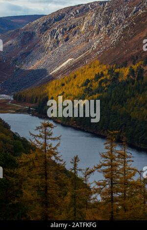 Seen in Glendalough in den Wicklow Bergen Irlands Stockfoto