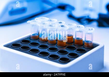 Orangefarbene Substanz in Mikroröhre wird in einen Thermoschüttler gegeben. DNA-Experiment im biochemischen Labor. Klinische Konzeptdarstellung. Synthese von neuem Stockfoto