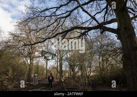 Uxbridge, Großbritannien. Februar 2020. Eine Frau beobachtet, wie sie von Umweltaktivisten aus Stop HS2, Save the Colne Valley and Extinction Rebellion, die versuchten, die Bäume zu retten, während sie gegen die umstrittene Hochgeschwindigkeitsstrecke HS2 kämpfen, an alten Bäumen im Colne Valley lebt und schläft. Es wird erwartet, dass der Premierminister unvoreinlich entscheidet, ob die Schnellfahrstrecke weitergeht. Credit: Mark Kerrison/Alamy Live News Stockfoto