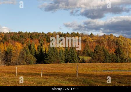 Quebec, Kanada. Herbst auf dem Bauernhof Stockfoto