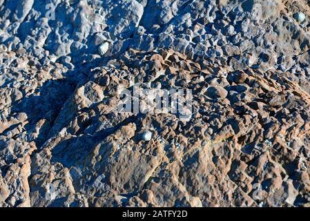 Mercia Mudstone sedimentäre Felsen an der Helwell Bay in der Severn-Flussmünde bei Watchet, Somerset, Großbritannien, Stockfoto