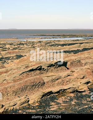 Mercia Mudstone sedimentäre Felsen an der Helwell Bay in der Severn-Flussmünde bei Watchet, Somerset, Großbritannien, Stockfoto