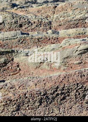 Mercia Mudstone sedimentäre Felsen an der Helwell Bay in der Severn-Flussmünde bei Watchet, Somerset, Großbritannien, Stockfoto