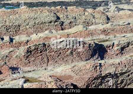 Mercia Mudstone sedimentäre Felsen an der Helwell Bay in der Severn-Flussmünde bei Watchet, Somerset, Großbritannien, Stockfoto