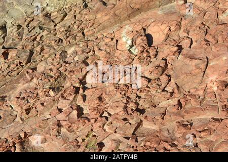 Mercia Mudstone sedimentäre Felsen an der Helwell Bay in der Severn-Flussmünde bei Watchet, Somerset, Großbritannien, Stockfoto