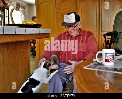 Ein hochrangiger kaukasischer Mann mit Brille und Hut mit seinem treuen Hund Jack Russel zu Hause während der Morgenkaffezeit Stockfoto