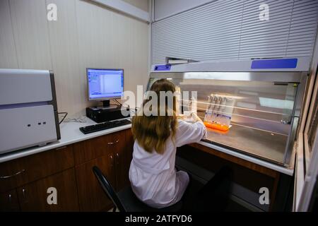 Wissenschaftler arbeiten im Laminarkasten. Sie stellt Proben von DNA-Fragmenten für die Elektrophorese Stockfoto