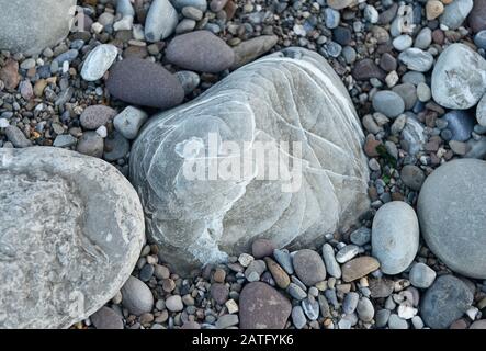 Verschiedene Arten von Kieselsteinen am Strand in Watchet, Somerset, Großbritannien Stockfoto