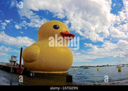 "Rubber Duck" schweben ruhig im Hafen von Toronto City. Aufblasbare gelbe Ente im HTO Park in Toronto ausgestellt Stockfoto