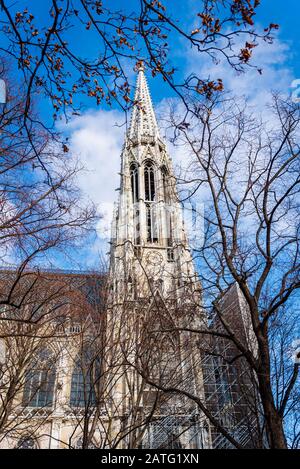 Votivkirche, neugotisch in Wien, Österreich Stockfoto