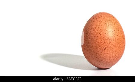 Ein Ei steht aufrecht auf weißem Grund und wirft einen Schatten. Stockfoto