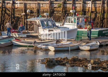 Fischer machen sich auf einen Angeltag im Camden Harbor, Maine, bereit Stockfoto