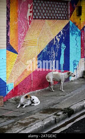 Santa Barbara Nachbarschaft in Santo Domingo Dominica Republik Stockfoto