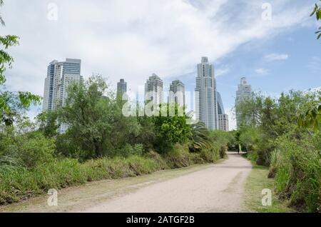 Bundeshauptstadt, Buenos Aires/Argentinien; 8. November 2015: Fußweg des ökologischen Reservats Costanera Sur, im Hintergrund die modernen Gebäude Von Pu Stockfoto