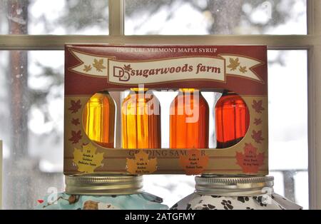 Wir feiern den Frühling in Vermont und die Green Mountains von VT. Ahorn-Sirup, Vögel, Bienen, Blumen, Bäume Stockfoto