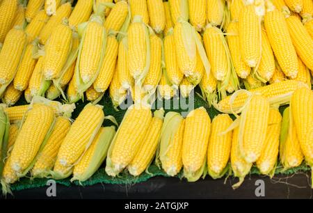 Viele organische frische Geschälte Körner als Essen Hintergrund Stockfoto