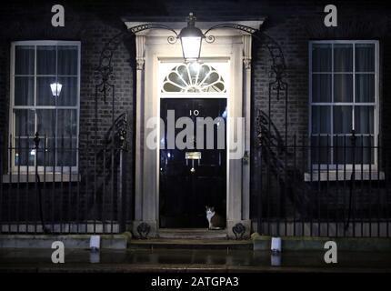 Larry the CAT sitzt vor der Tür der Downing Street Nummer 10, als Großbritannien die Europäische Union heute um 23.00 Uhr verlässt, nachdem bei einem Referendum 2016 die Mehrheit der Wähler die EU verlassen wollte. Sie wird seitdem als Brexit bezeichnet. Brexit, London, 31. Januar 2020 Stockfoto
