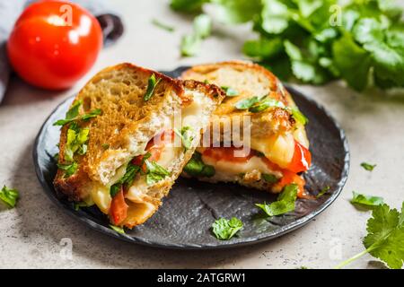 Gegrilltes Käsesandwich mit Tomaten und Kräutern, dunkler Hintergrund. Stockfoto