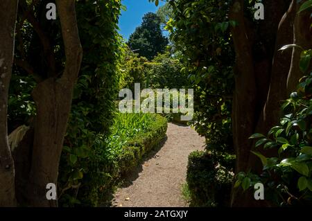 Garten von Jotas aus dem Botanischen Garten von Porto, Portugal. Dieser Garten hat eine große Vielfalt an exotischen Blumen. Stockfoto