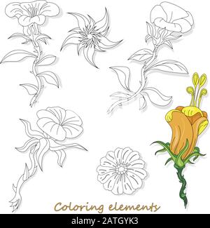 Fantasy-Blumenelemente-Illustration auf weiß isoliert gesetzt. Vektorbild. Farbseite Stock Vektor
