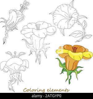 Fantasy-Blumenelemente-Illustration auf weiß isoliert gesetzt. Vektorbild. Farbseite Stock Vektor