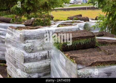 Rasengras in Rollen auf Paletten gegen die Straße, rolled Gras Lawn ist bereit zum Verlegen. Stockfoto