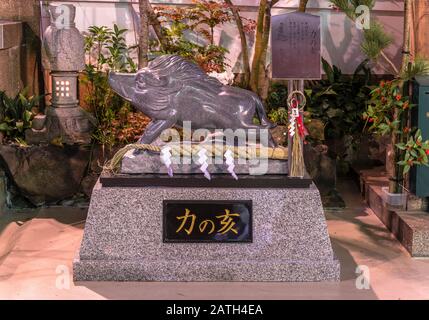 Tokio, japan - 02. januar 2020: Steinstatue des Tierkreisboars, auf dem die buddhistische Gottheit Marici steht und die Kraft und vic symbolisiert Stockfoto