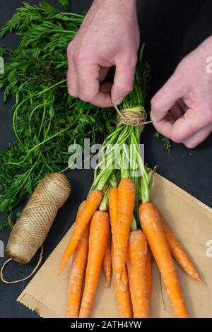 Mann bindet ein Bündel Karotten mit Gartensaite auf einem braunen Papierbeutel. Hintergrund aus schwarzem Holz Stockfoto