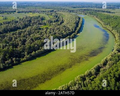 Luftbild des Ochsebow Sees des Flusses Drava, Kroatien Stockfoto