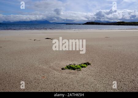 Melone Udrigle Gruinard Bay Ross und Cromarty Ross-shire Highlands Scotland Stockfoto