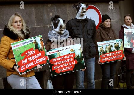 Aachen, Deutschland. Februar 2020. Anhänger der klagenden Bauern und Aktivisten demonstrierten, teils als Rind verkleidet, mit Anzeichen, "Das Töten wegen des Verdachts ist keine Lösung! (L-r), "Impfung gegen Rinderherpes für alle wieder erlaubt" und "Notimpfung statt Notschlachtung" vor dem Landgericht gegen den Befehl, 680 Tiere zu töten. Drei Aachener Bauern klagen wegen der Tierseuche Rinderherpes gegen einen offiziellen Befehl, rund 680 Stück Rind zu töten. Credit: Dpa Picture Alliance / Alamy Live News Stockfoto