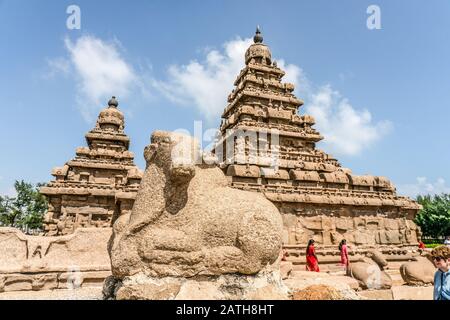 Der Küstentempel bei Mahabalipuram bei Chenai. Aus einer Reihe von Reisefotos in Südindien. Fotodatum: Dienstag, 7. Januar 2020. Foto: Roger Garfi Stockfoto