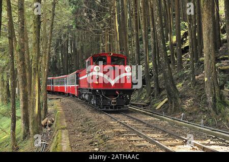 Kleiner Zug im Alishan National Forest Recreation Area Stockfoto