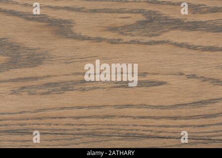 Natürliche Holztextur aus geschnittenem Baumstamm für den Hintergrund. Stockfoto